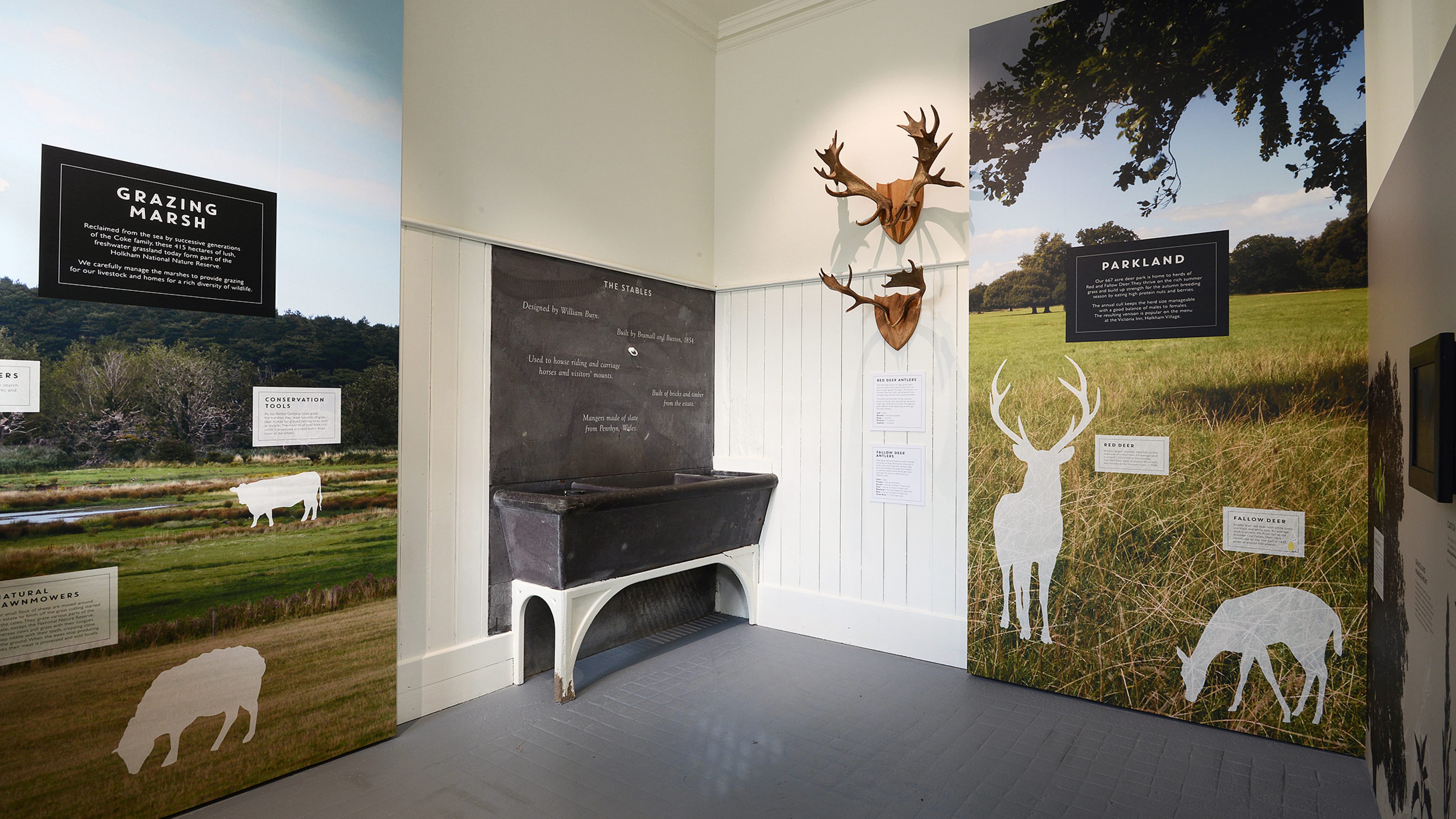 Holkham Estate Exhibitions and environments