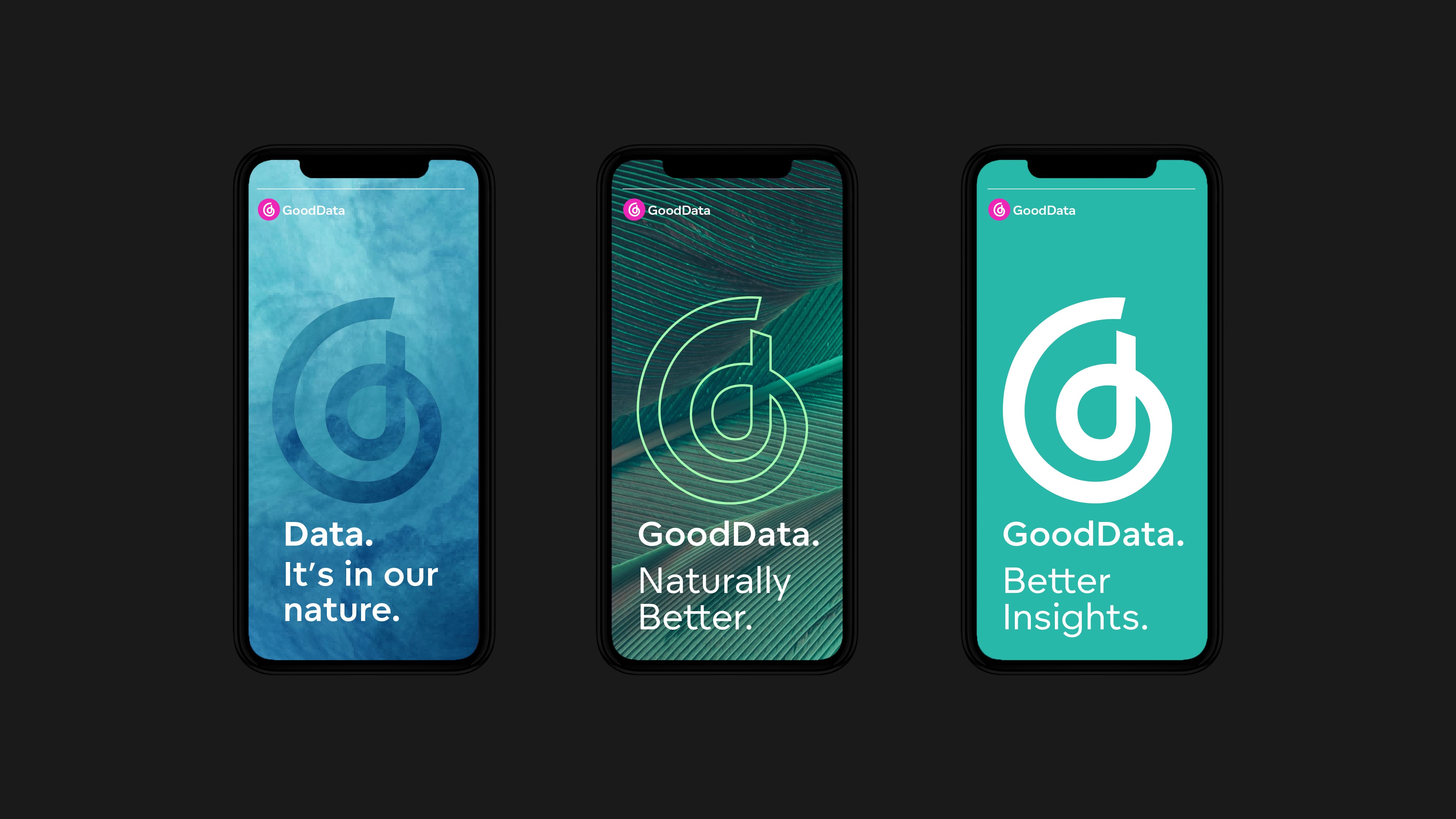 GoodData Brand strategy, Visual identity, Website design