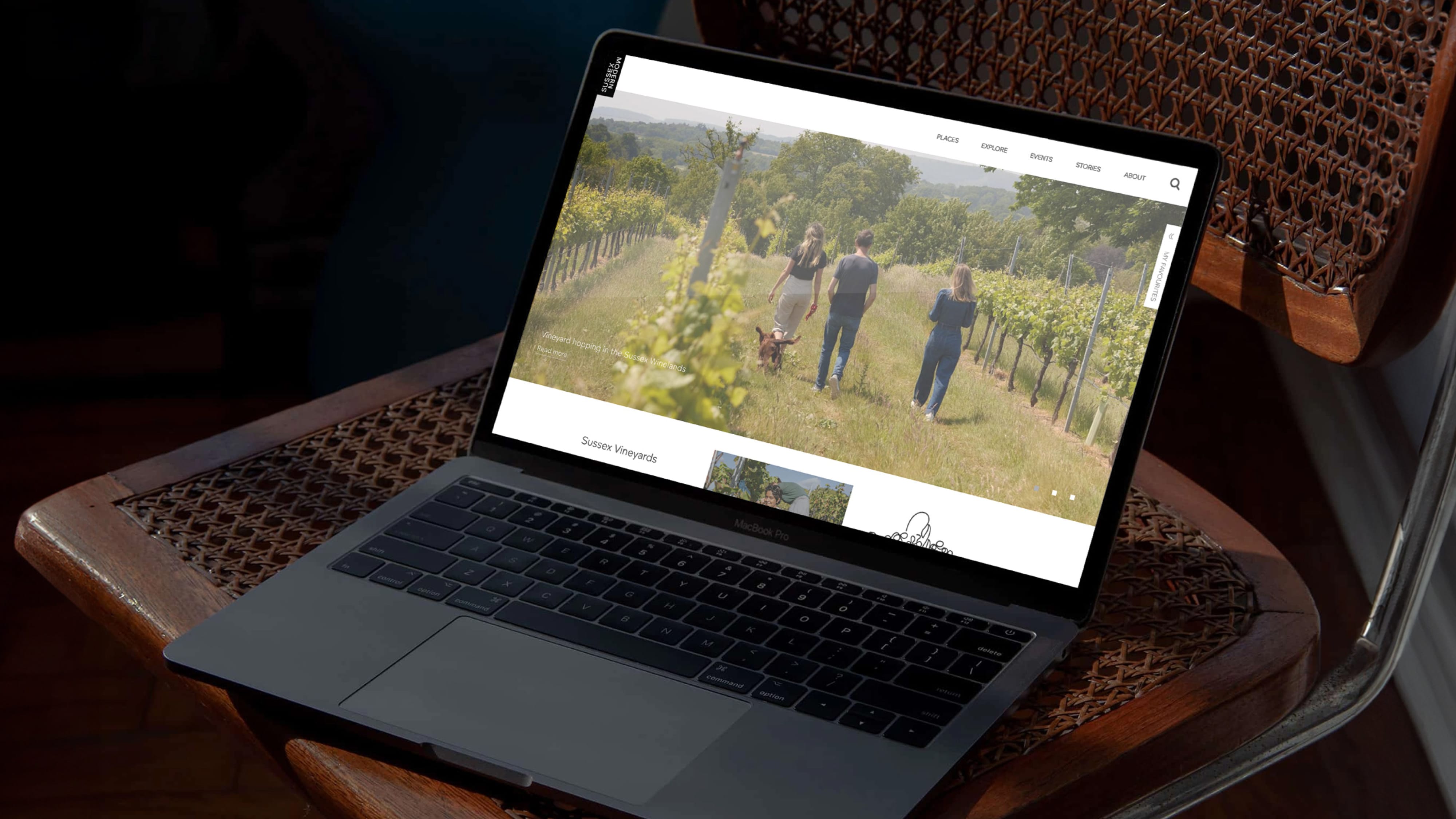 Sussex Modern Website design and development